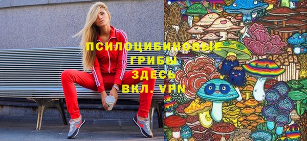трава Горнозаводск