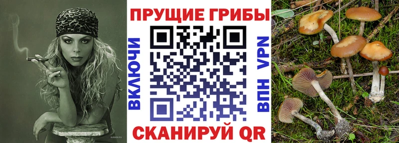 Купить  Липки  Псилоцибиновые грибы ЛСД 