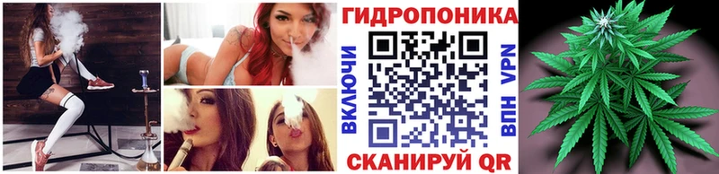 Бошки Шишки сатива  Купить закладки  Липки 